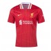 Liverpool Alexander-Arnold #66 Replik Heimtrikot 2024-25 Kurzarm